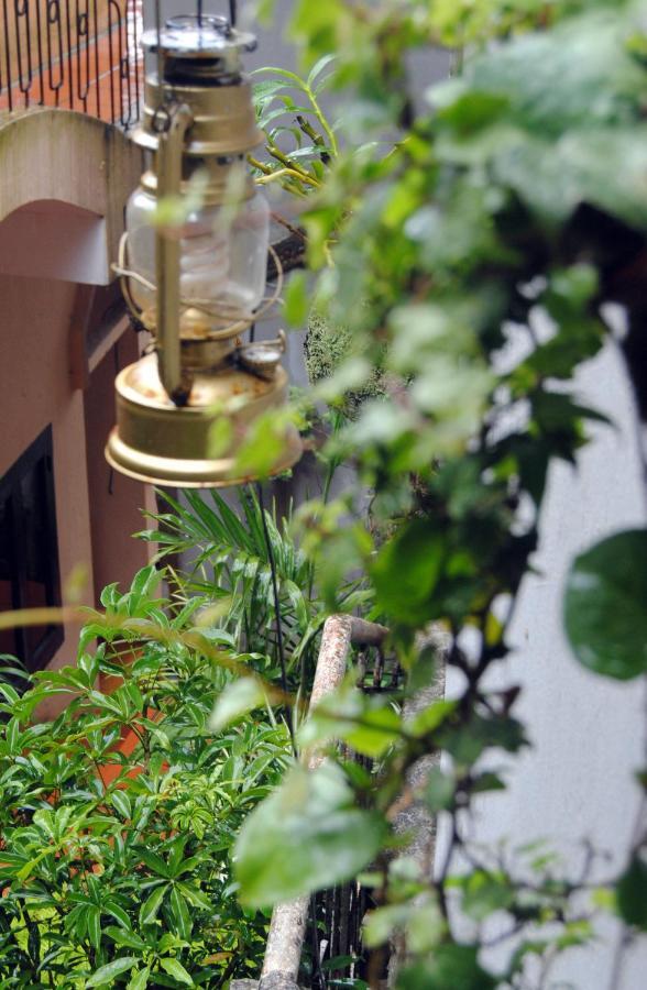 Cat Cat Hotel Sapa Kültér fotó